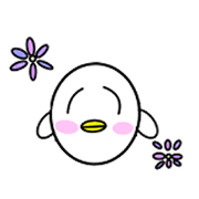 Piyokitimaru's everyday