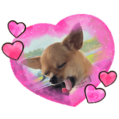 aoi_20220723194640