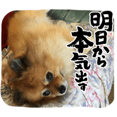 maiiiiina_20220723203916