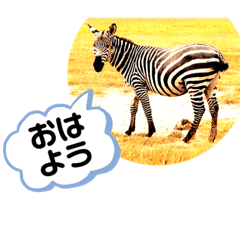 chat_20220723124933