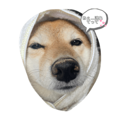 毎日いつも一緒にいてね