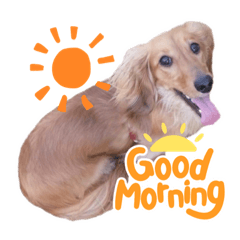 kuu_20220723203005