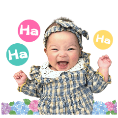 Miffy實用貼圖