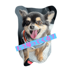 Momoko_20220723225943