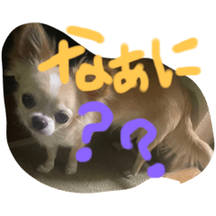 SHIHO_20220723195912