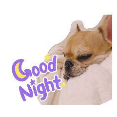 Alice_20220723215755