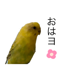 natsumi_20220724003246