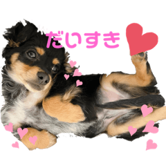 hikari_20220723232502