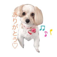 yukina_20220724134635