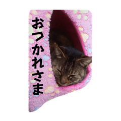 Yuka_20220724135959
