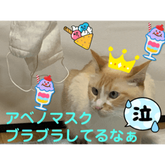 sayuri_20220723215142