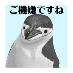 Kamiariduki_20220723222819