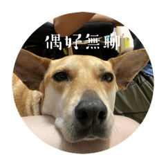 嚕來嚕愛
