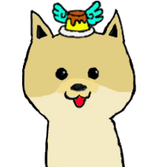 可愛博美狗布丁-日常生活篇