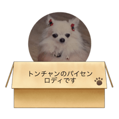 ton_20220723230956