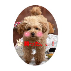 Rain_20220724111942