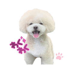 Ringo_20220724171043