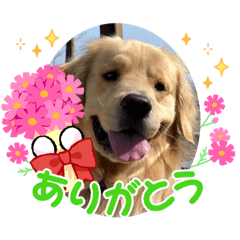 NAHO_20220724174706