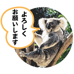 chat_20220724042906