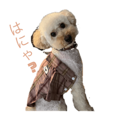 kuu_20220724200331