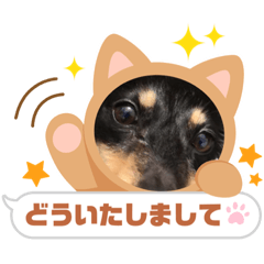 junko_20220724201952