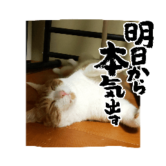 MEGUMI_20220724191820