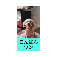 Ak_20220724164540