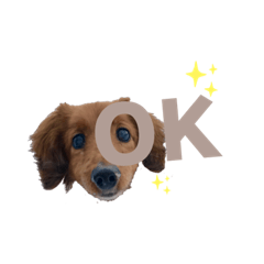 yn_20220725001614
