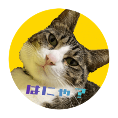 kaito_20220724182100