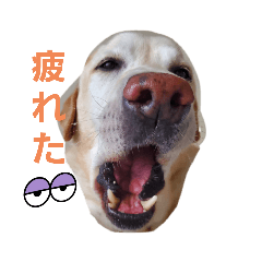 saori_20220724232753