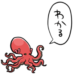 female octopus
