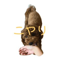 Suzu_20220725113708