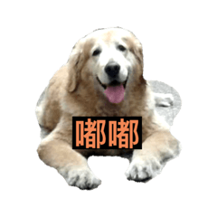 群組帥哥專用貼圖（1）