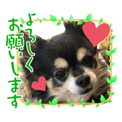 risasa_20220725111143
