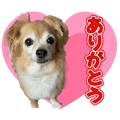 MINNANOKAZOKU SORACHAN