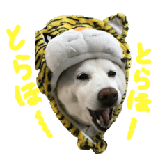 YUKORIN_20220724215021