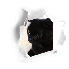 natsumi_20220725142807