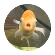 The world's best aquarium