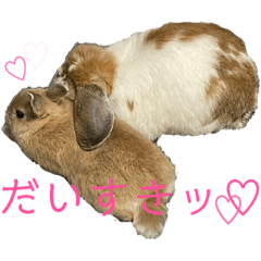 komuck_20220725154021