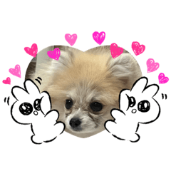 奶油蕃薯表情包