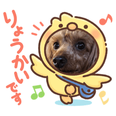 aoi_20220725111115
