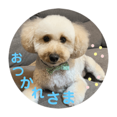 tommy_20220725161814