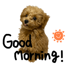 taru_20220725172220