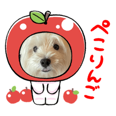 Miyuu_20220725205203