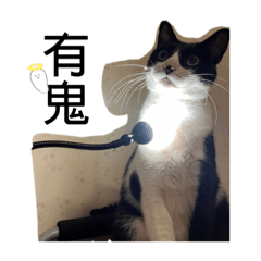 Ruby_20220725175615 – LINE stickers | LINE STORE