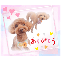 Nozomi_20220725235956