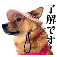 Pome Shiba Moe-chan's mock-cute Sticker