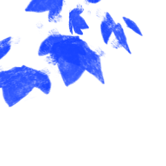 TEST_Simple Color_50