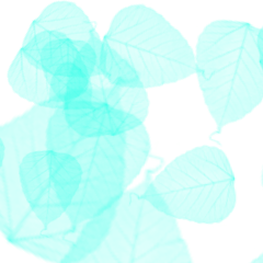 TEST_Simple Color_51