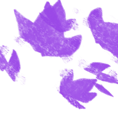 TEST_Simple Color_49